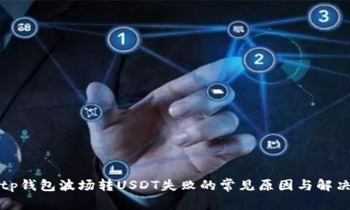 解决tp钱包波场转USDT失败的常见原因与解决方案